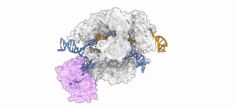 Protein structure 4